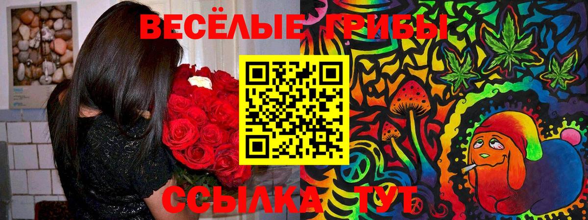 Псилоцибиновые грибы MAGIC MUSHROOMS Реж