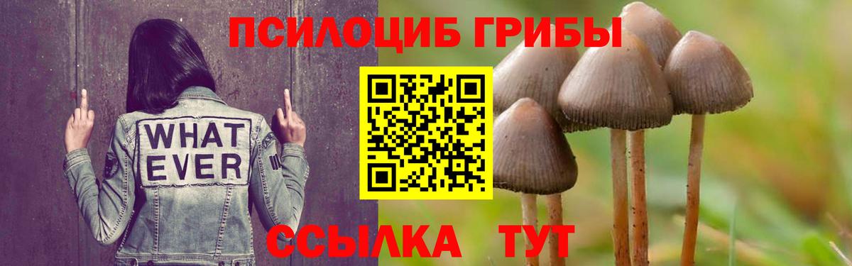 Галлюциногенные грибы Psilocybe  наркошоп  Реж  Вход с VPN 